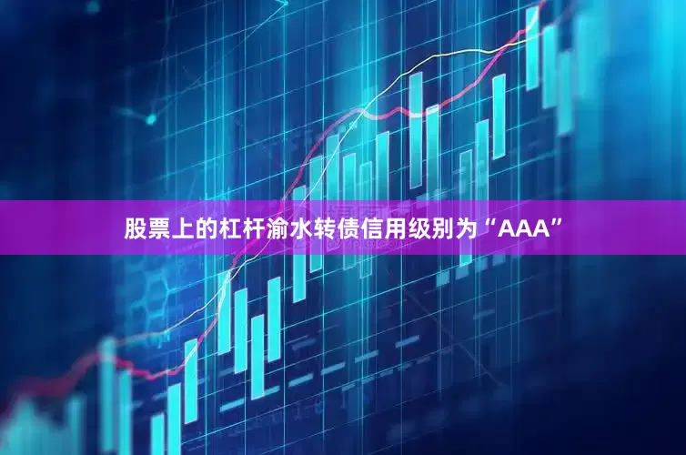 股票上的杠杆渝水转债信用级别为“AAA”
