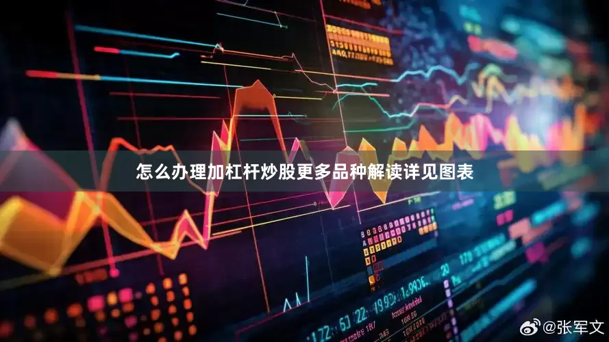 怎么办理加杠杆炒股更多品种解读详见图表
